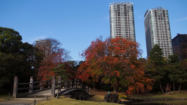 秋の浜離宮恩賜庭園