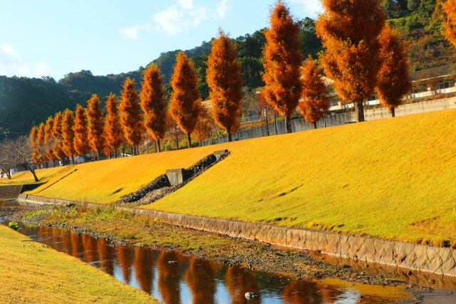 初冬の公園