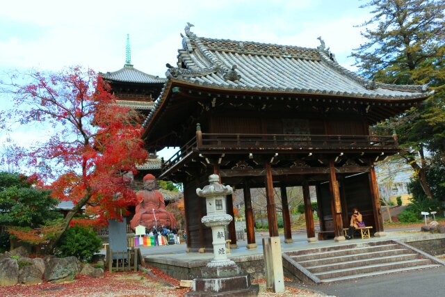 初冬の名古屋興正寺