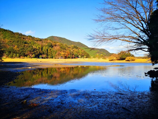 冬の水辺