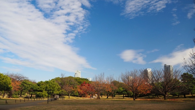 秋の浜離宮恩賜庭園