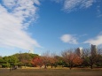 秋の浜離宮恩賜庭園