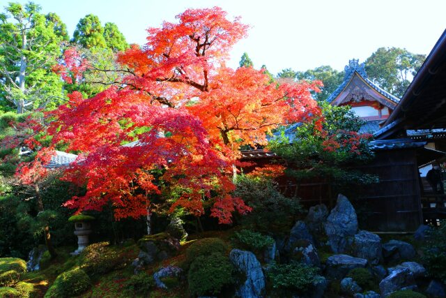 醍醐寺