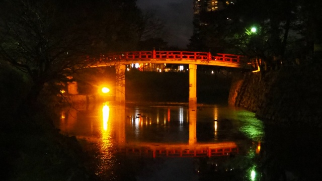 夜の岡崎公園