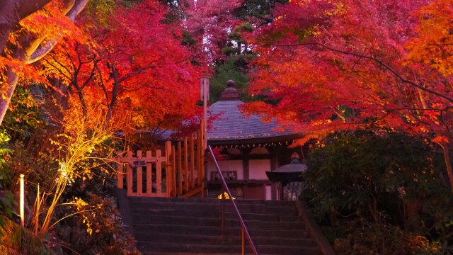 秋の夜の長谷寺