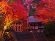 秋の夜の長谷寺