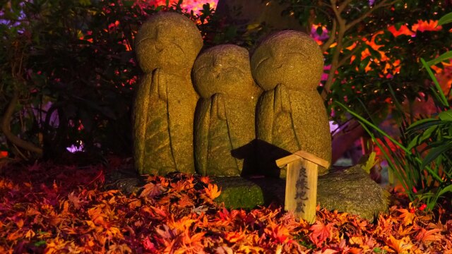 秋の夜の長谷寺