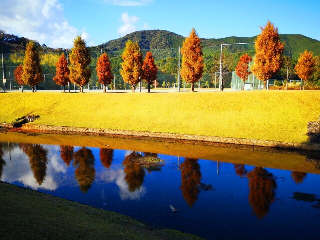 初冬の公園