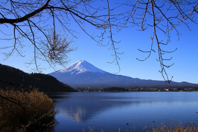 河口湖