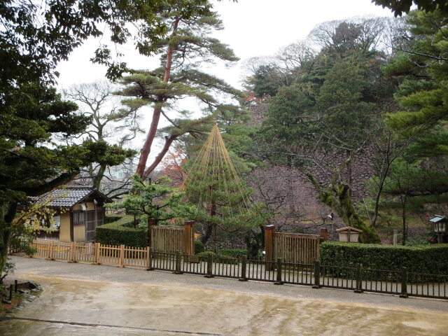 ある雨の日の情景 2022年