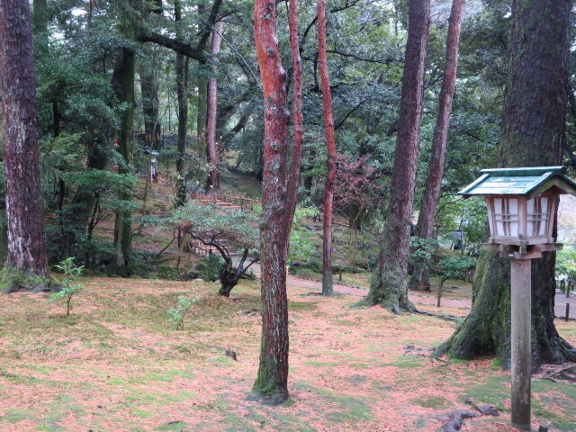 ある雨の日の情景 2022年