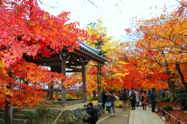 常寂光寺