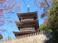 初冬21 安来 清水寺 三重塔