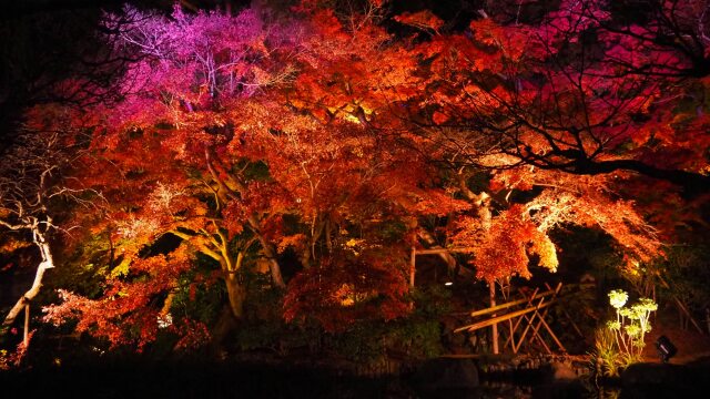 秋の夜の長谷寺