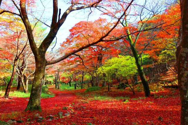 養老公園