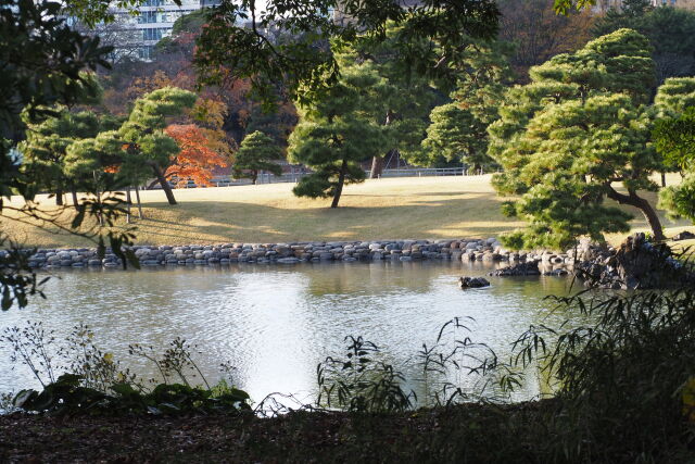 浜離宮恩賜庭園