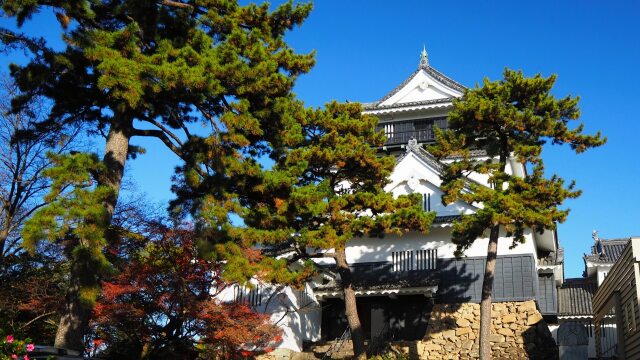 秋の岡崎公園