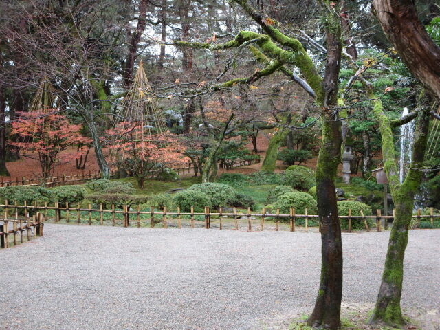 ある雨の日の情景 2022年