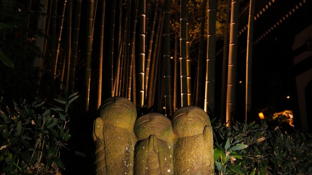 秋の夜の長谷寺