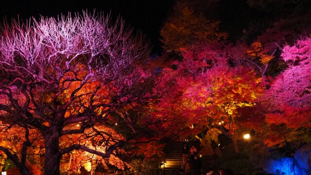 秋の夜の長谷寺