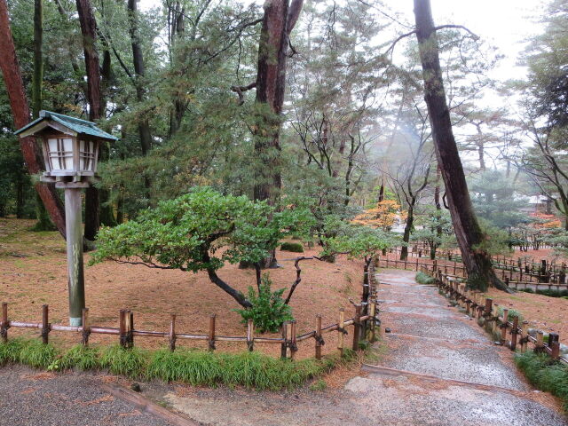 ある雨の日の情景 2022年