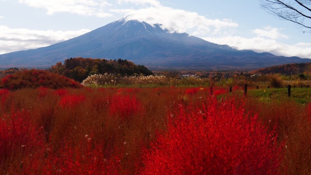 秋の河口湖