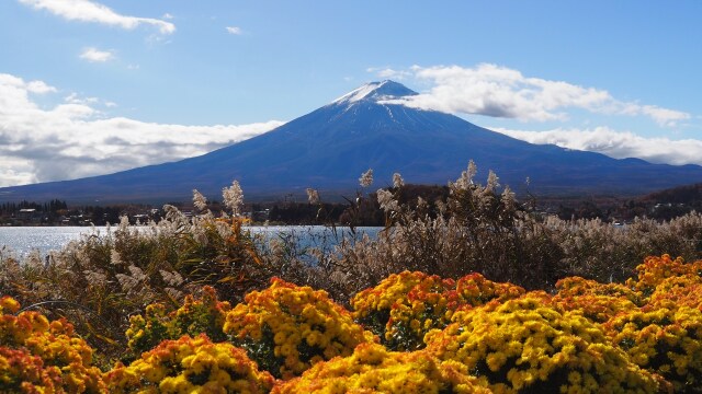 秋の河口湖