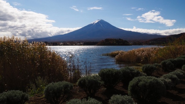 秋の河口湖