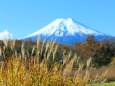 忍野八海