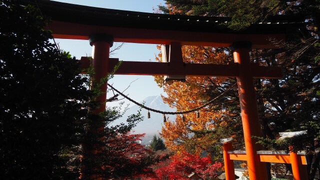 秋の新倉山浅間公園