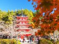 秋の新倉山浅間公園