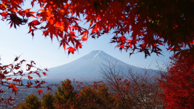 秋の新倉山浅間公園