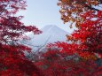 秋の新倉山浅間公園