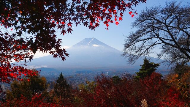 秋の新倉山浅間公園