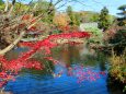 東山植物園