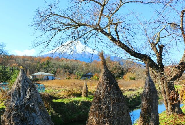 忍野八海