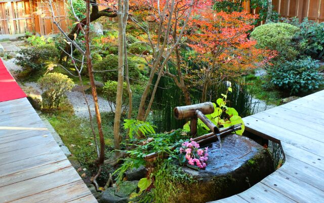 宝泉院