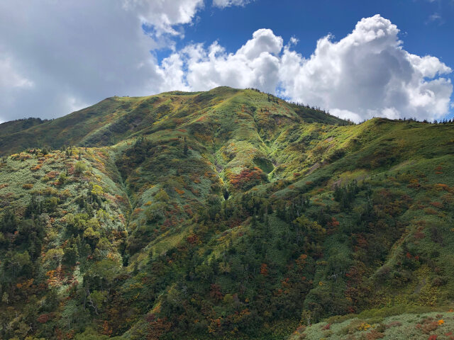 天狗原山を望む