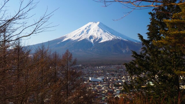 冬の新倉山浅間公園