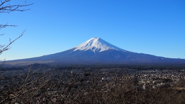 冬の新倉山浅間公園