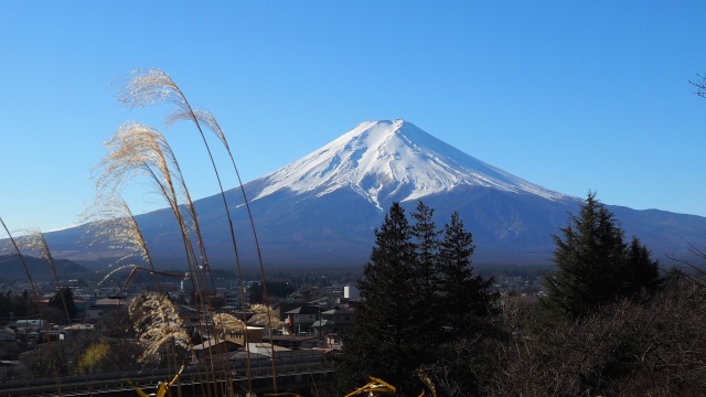 冬の新倉山浅間公園