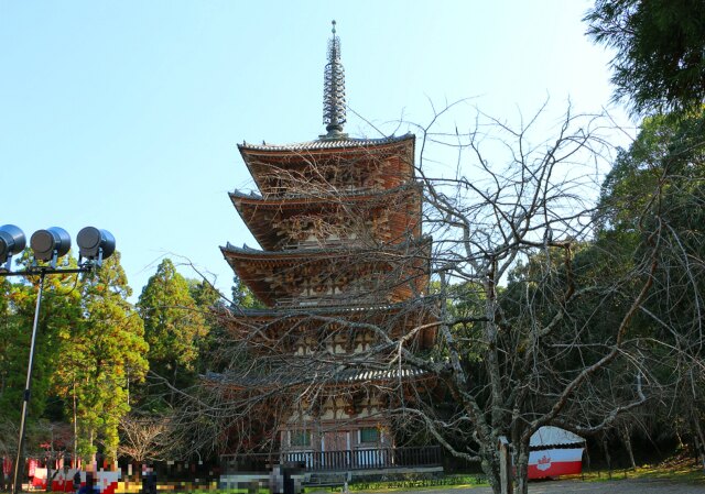 醍醐寺