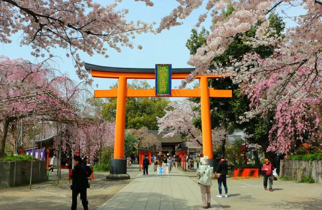 迎春平野神社