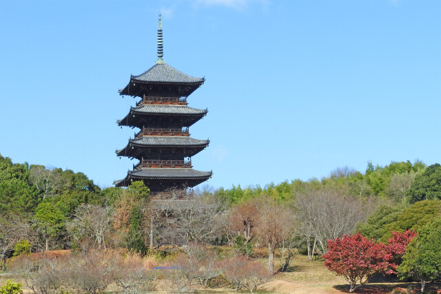 備中国分寺 冬