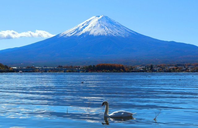 迎春富士山