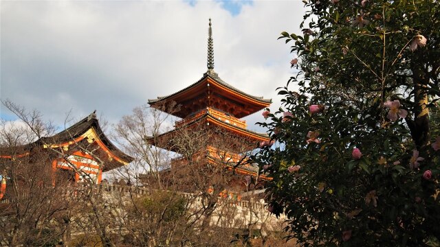 新春の京都