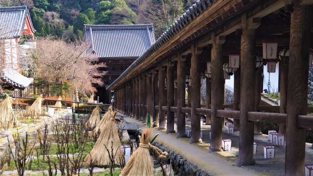 新春の奈良長谷寺