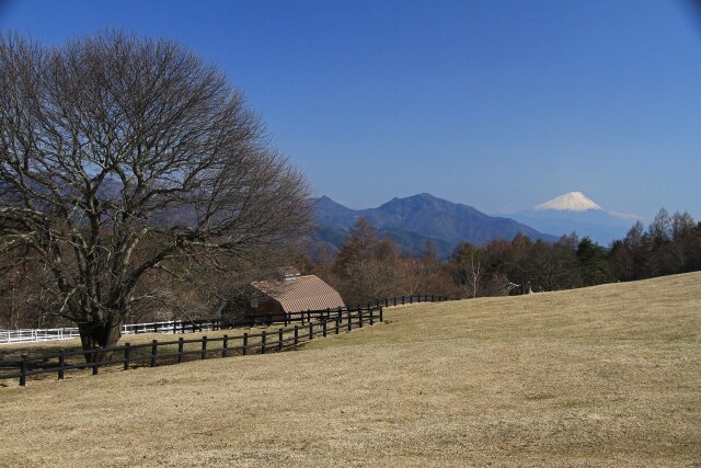 富士山遠望