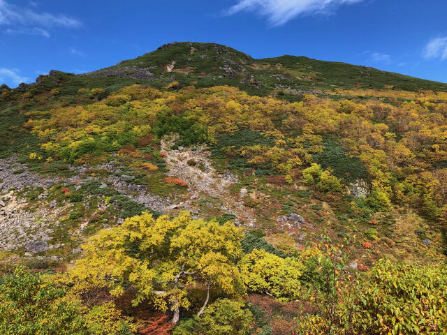 色づく山