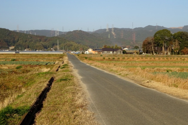 冬枯れの田舎道